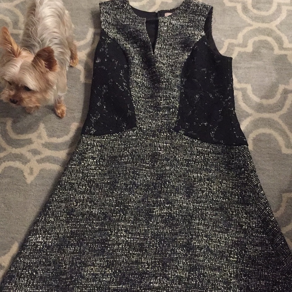 Banana Republic A Line Dress